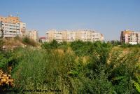 Imagine atasata: Timisoara Plaza Center - 2015.08.09 - 09.jpg